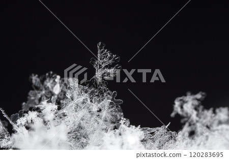 natural snowflakes on snow, winter 120283695