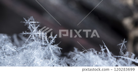 natural snowflakes on snow, winter natural snowflakes on snow, winter 120283699