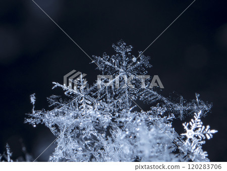 natural snowflakes on snow, winter 120283706