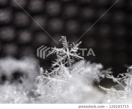 natural snowflakes on snow, winter natural snowflakes on snow, winter 120283715