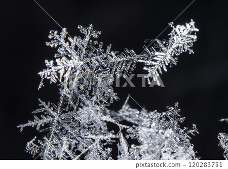 snowflake, little snowflake on the snow snowflake, little snowflake on the snow 120283751