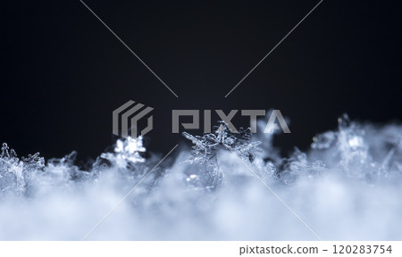 snowflake, little snowflake on the snow snowflake, little snowflake on the snow 120283754