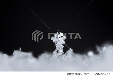 snowflake, little snowflake on the snow snowflake, little snowflake on the snow 120283756