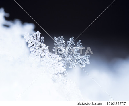 snowflake, little snowflake on the snow 120283757