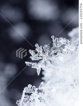 snowflake, little snowflake on the snow 120283758