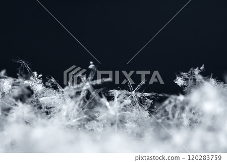 snowflake, little snowflake on the snow snowflake, little snowflake on the snow 120283759