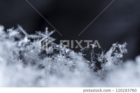 snowflake, little snowflake on the snow snowflake, little snowflake on the snow 120283760