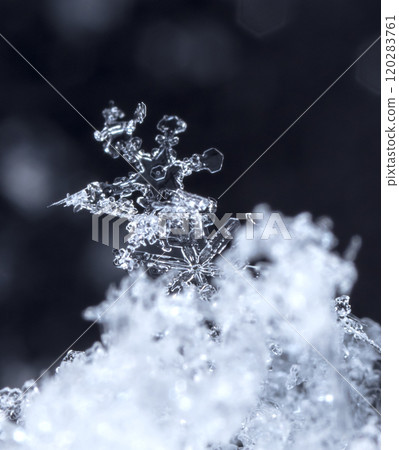 snowflake, little snowflake on the snow snowflake, little snowflake on the snow 120283761