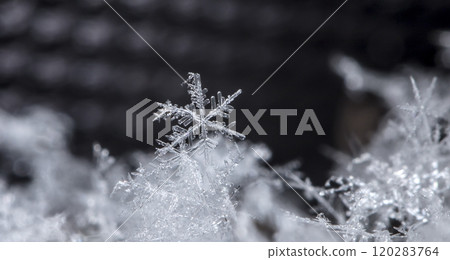 snowflake, little snowflake on the snow snowflake, little snowflake on the snow 120283764