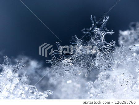 snowflake, little snowflake on the snow snowflake, little snowflake on the snow 120283766