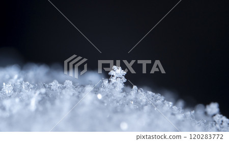 snowflake, little snowflake on the snow snowflake, little snowflake on the snow 120283772