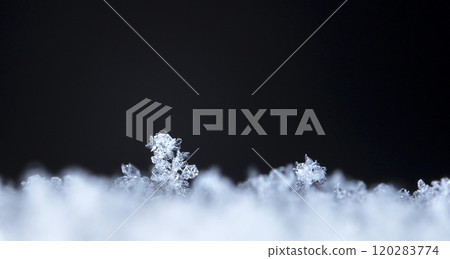 snowflake, little snowflake on the snow snowflake, little snowflake on the snow 120283774