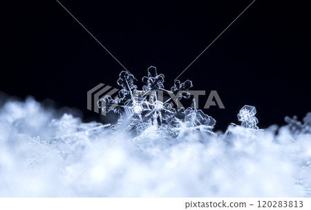 natural snowflakes on snow, winter natural snowflakes on snow, winter 120283813