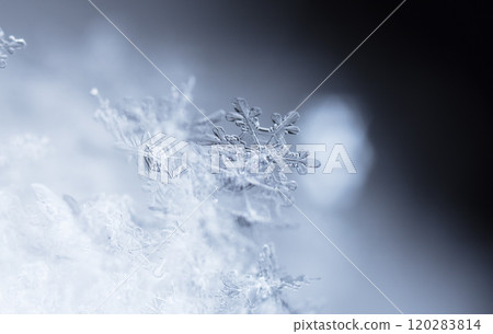natural snowflakes on snow, winter natural snowflakes on snow, winter 120283814