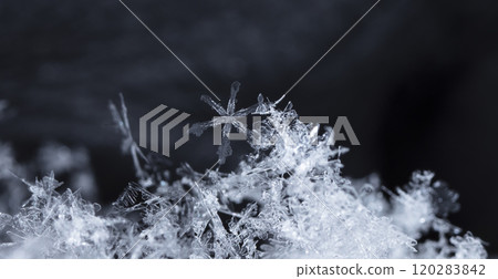 natural snowflakes on snow, winter 120283842