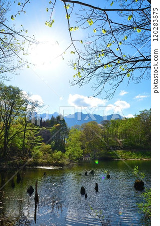 Akiyamago Tenike (Nagano Prefecture) 120283875