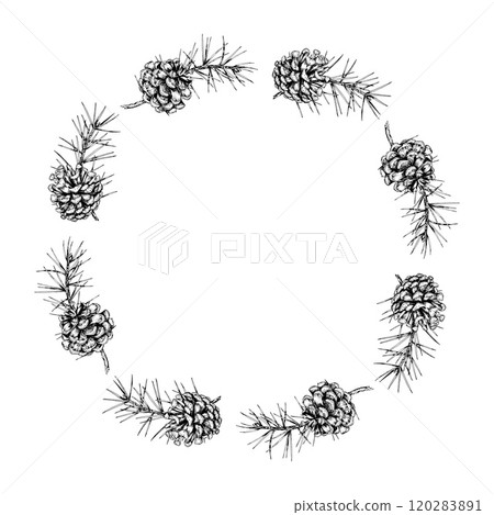 Detailed hand drawn vector wreath of pine branches and cones. Circular frame. Ideal for Christmas holiday designs, winter themed invitations and seasonal decor 120283891