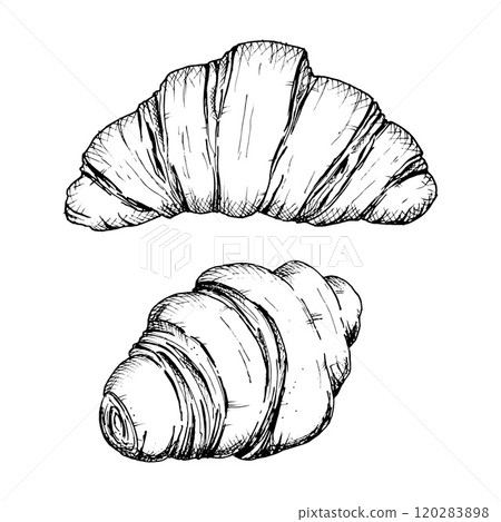 Set of detailed hand drawn illustration of croissants. Vector black and white sketches of a flaky, layered French pastry. Perfect for bakery, breakfast, or food-related designs and packaging concepts. 120283898