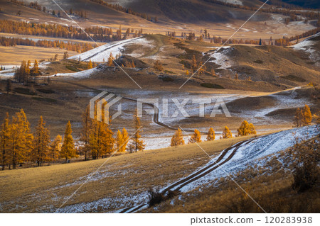 Scenic view of Altai Mountains with autumn trees and winding roads 120283938