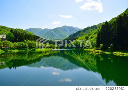 新鮮綠色的加茂水源（新潟縣） 120283981