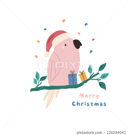 Christmas Greeting Card with Funny Cockatoo and Gift Box 120284041
