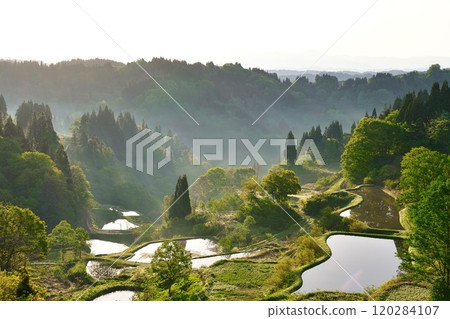 Gamo Rice Terraces (Niigata Prefecture) 120284107