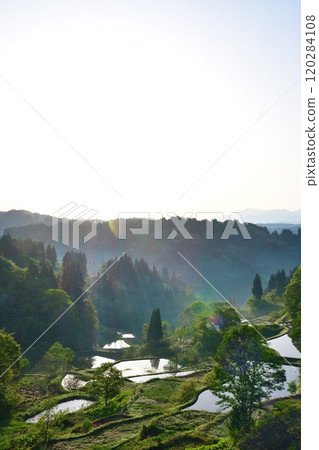 Gamo Rice Terraces (Niigata Prefecture) Gamo Rice Terraces (Niigata Prefecture) 120284108