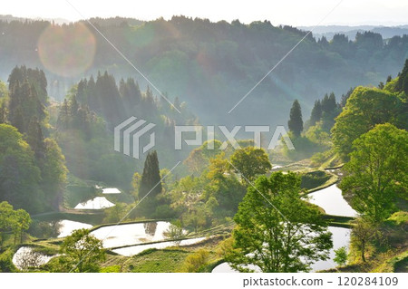 Gamo Rice Terraces (Niigata Prefecture) 120284109