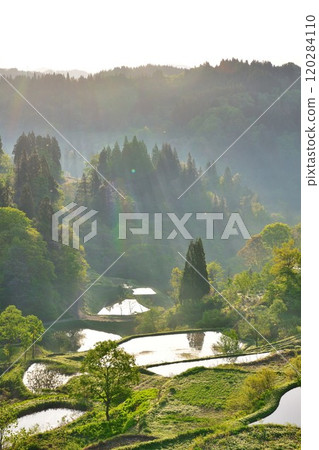 Gamo Rice Terraces (Niigata Prefecture) 120284110