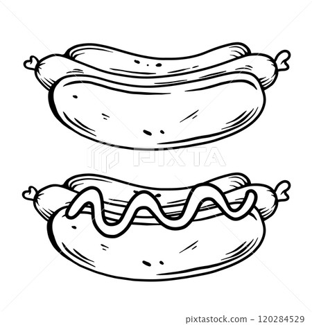 Illustration of hot dog with sausage. Fast food. Design element for poster, menu, banner, sign. Vector illustration 120284529