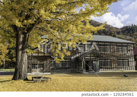 福島縣昭和村久丸小學的大銀杏樹 120284561