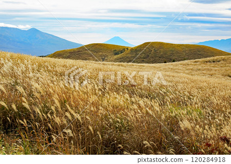 Kirigamine Highlands, a field of silver grass with a distant view of Mount Fuji 120284918