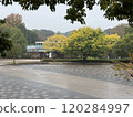 Seasonal changes in the park 120284997