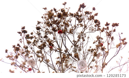 Christmas background with tree branches Christmas background with tree branches 120285173