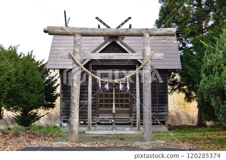 Photographing Himekawa Shrine in late autumn in Morimachi, Hokkaido 120285374