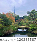 Skytree as seen from Mukojima Hyakkaen 120285587