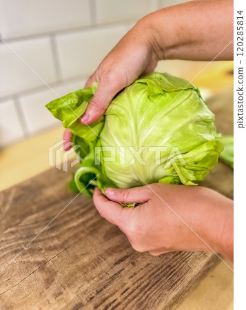female hands holding and cutting the dress cabbage in kitchen . High quality photo 120285814