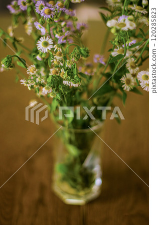 glass vase with field dried flowers on wood table . High quality photo 120285823