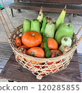 Pumpkins and loofahs in baskets 120285855