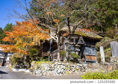 Autumn leaves and Hinatami Yakushido 120285880