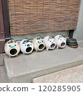 Mosquito coil stick 120285905