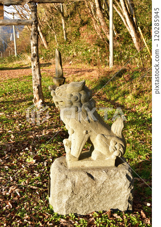 拍攝北海道八雲町神湯大山純神社深秋景色 拍攝北海道八雲町神湯大山純神社深秋景色 120285945