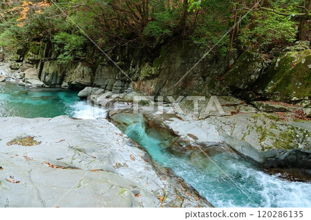 前往河鹿瀑布【洞川自然研究步道步行路線】/奈良縣天川村洞川 前往河鹿瀑布【洞川自然研究步道步行路線】/奈良縣天川村洞川 120286135