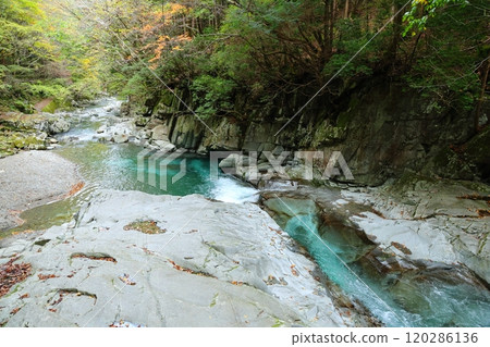前往河鹿瀑布【洞川自然研究步道步行路線】/奈良縣天川村洞川 120286136