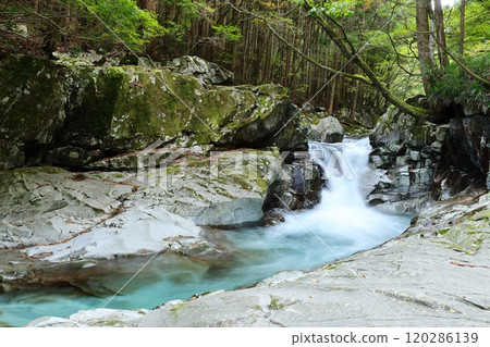 Heading to "Kajika Falls" [Dorogawa Nature Study Trail] / Dorogawa, Tenkawa Village, Nara Prefecture 120286139
