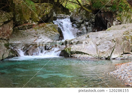"Kajika Falls" [Dorogawa Nature Study Trail] / Dorogawa, Tenkawa Village, Nara Prefecture 120286155