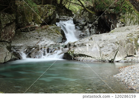 "Kajika Falls" [Dorogawa Nature Study Trail] / Dorogawa, Tenkawa Village, Nara Prefecture 120286159