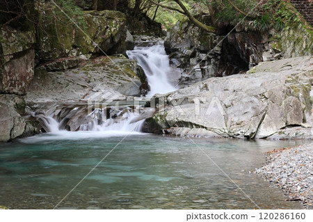 "Kajika Falls" [Dorogawa Nature Study Trail] / Dorogawa, Tenkawa Village, Nara Prefecture 120286160