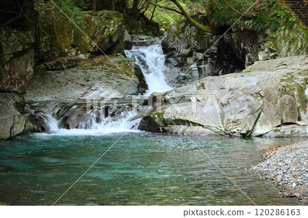 "Kajika Falls" [Dorogawa Nature Study Trail] / Dorogawa, Tenkawa Village, Nara Prefecture 120286163