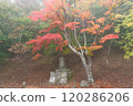 Autumnal leaves and monuments 120286206